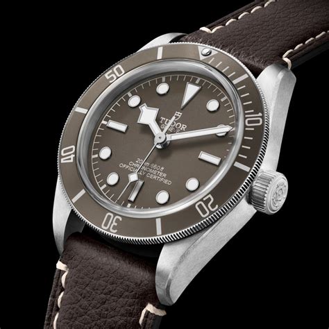 tudor royal silver|tudor bronze black bay 58.